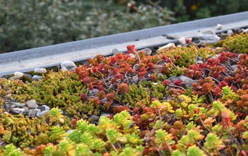 the cost of Minskip green roof installation
