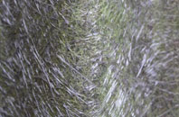 Minskip fibreglass roof work